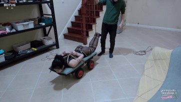 【半岛束艺台】【苏子】 自行驷马