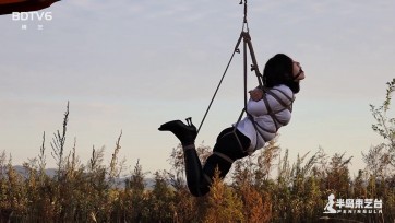 【半岛束艺台】【户外】【海语】挖掘机技术哪家强