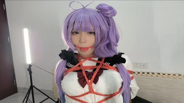 【职业胸手】碧蓝航线独角兽的调校