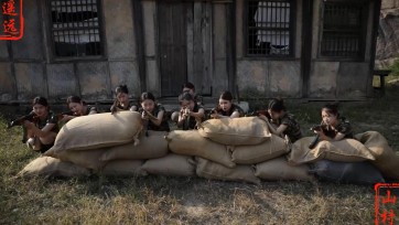 【山村工作室】女王蜂4