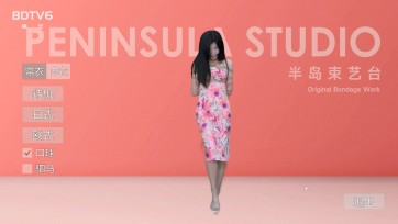 【半岛束艺台】PC游戏：你的妹子你做主Beta版